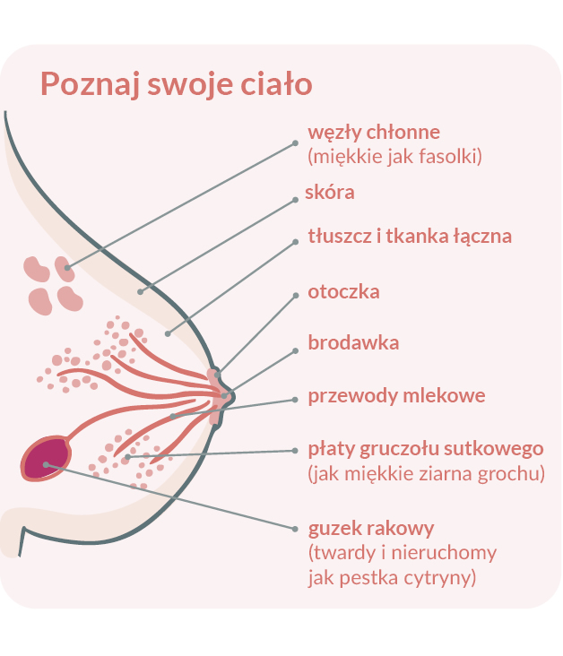 Jak prawidłowo wykonać samobadanie piersi?